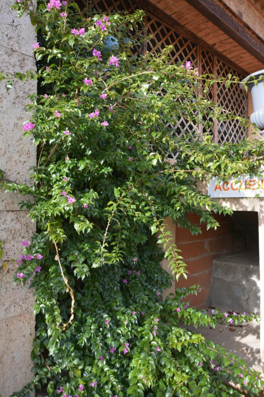 Chambre D'Hotes Nature Et Saveurs Boutenac Dış mekan fotoğraf